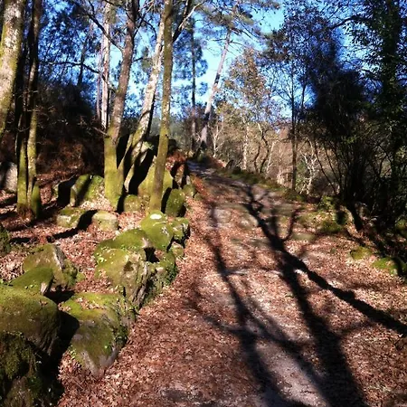 Casa Maruxa 3* 庞特维德拉